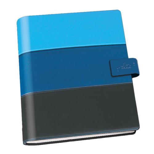 OBR.13,217 MAPA A4 AKTA BLUEBERRY