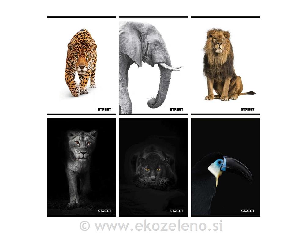 ZVEZEK A4 52L ČRTE MALI KARO