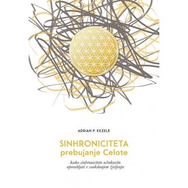 SINHRONICITETA - Prebujanje Celote
