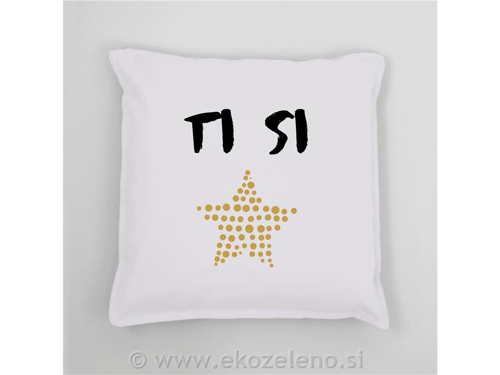 VZGLAVNIK TI SI ZVEZDA