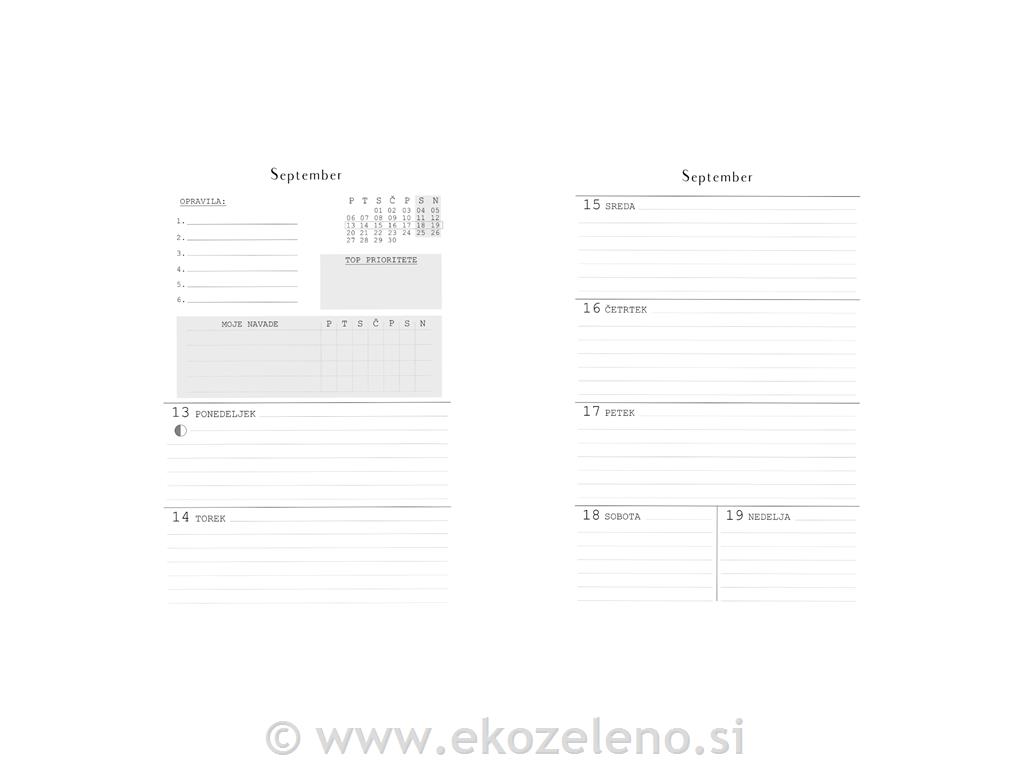 DREAM planner 2022