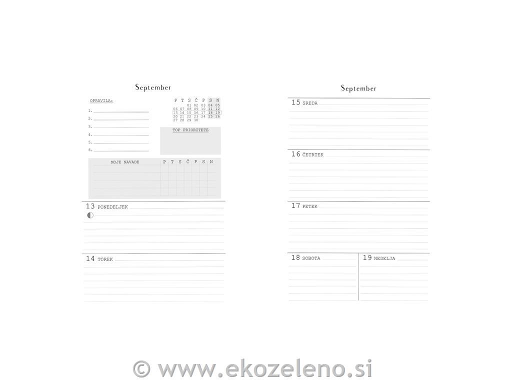 DREAM planner 2022